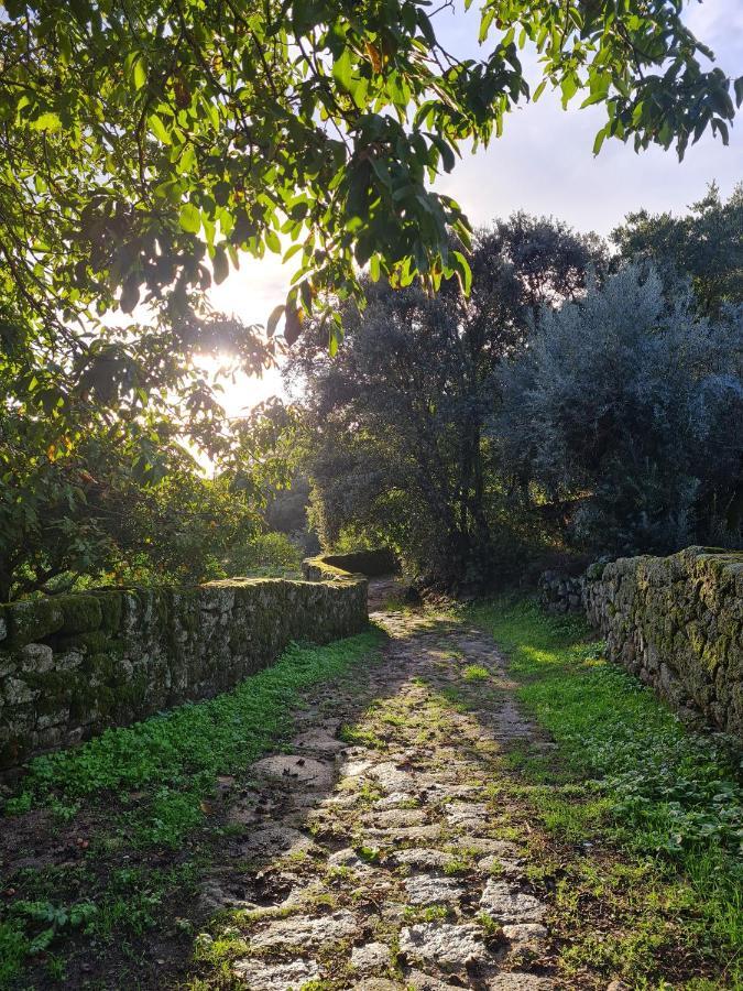 مبيت وإفطار Quinta De Sao Pedro De Vir-A-Corca Em مونسانتو المظهر الخارجي الصورة