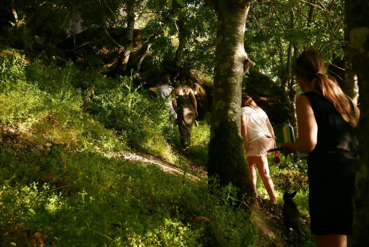مبيت وإفطار Quinta De Sao Pedro De Vir-A-Corca Em مونسانتو المظهر الخارجي الصورة